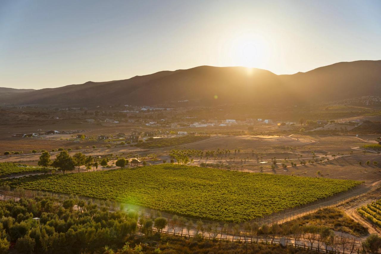 Banyan Tree Veya, Valle De Guadalupe - A Wellbeing & Wine Resort Exteriér fotografie