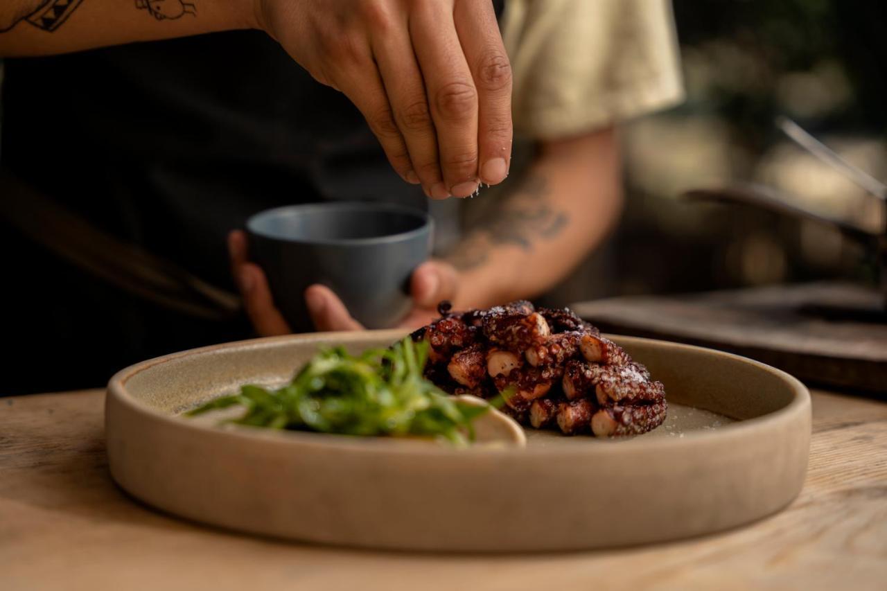 Banyan Tree Veya, Valle De Guadalupe - A Wellbeing & Wine Resort Exteriér fotografie
