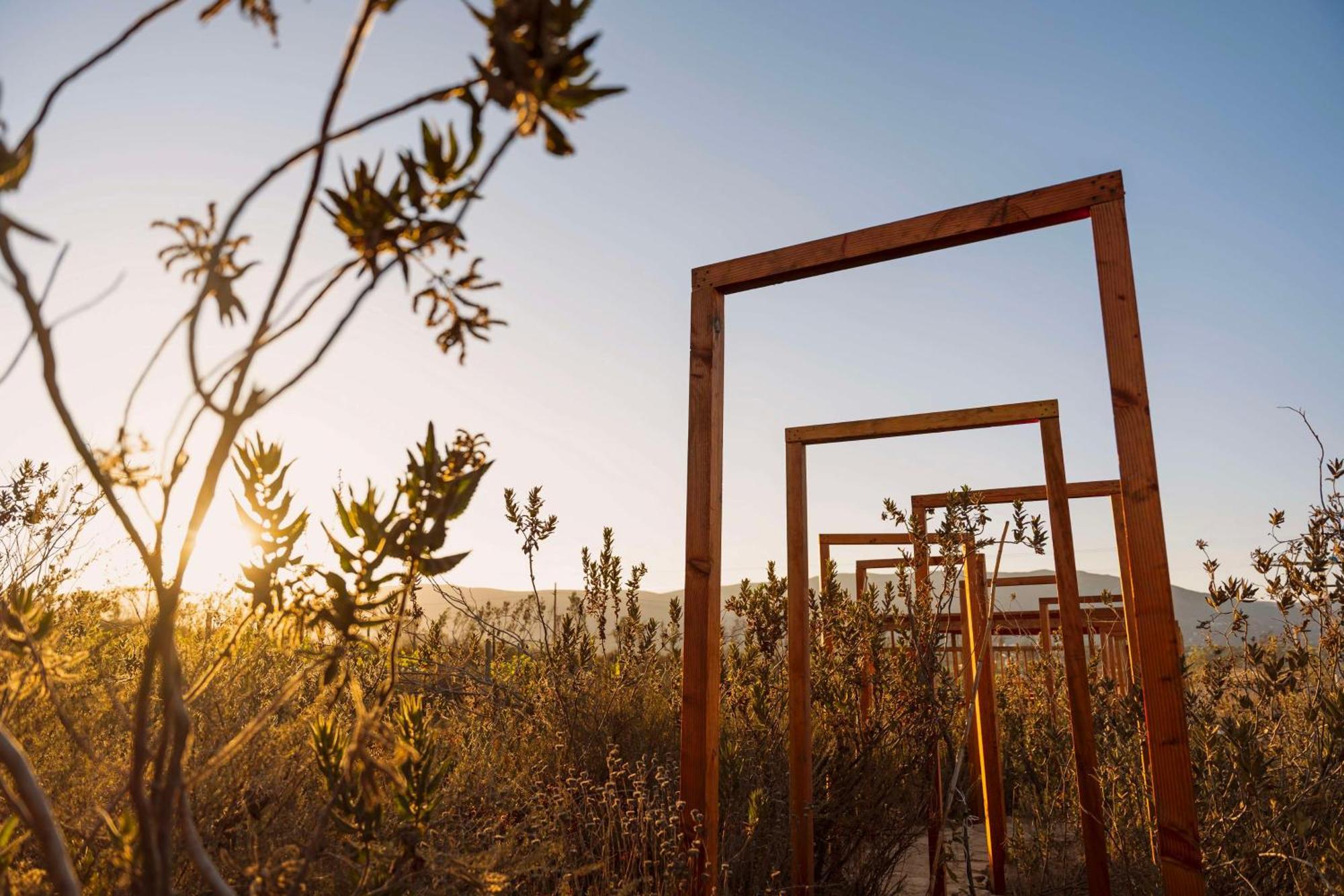 Banyan Tree Veya, Valle De Guadalupe - A Wellbeing & Wine Resort Exteriér fotografie